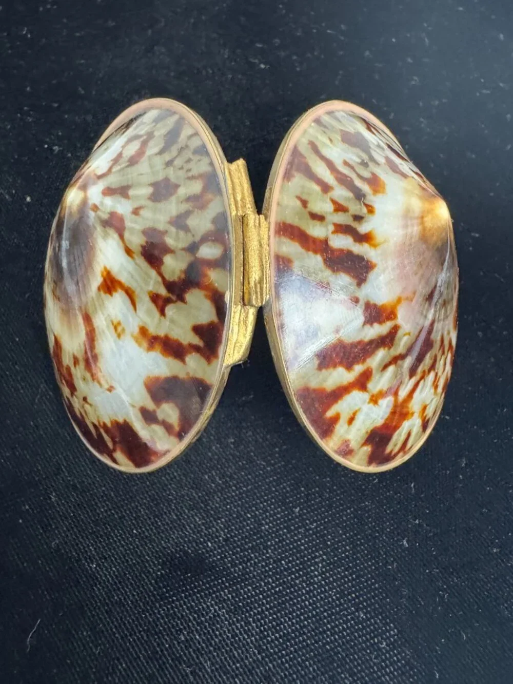 Shell trinket box with brass rim